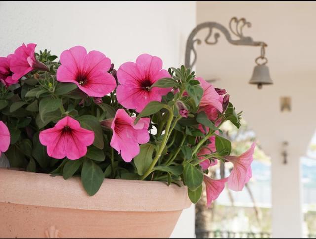 מטרה Villa Bruna Country Holiday מראה חיצוני תמונה